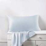 Alice Blue Silk Pillowcases Canada