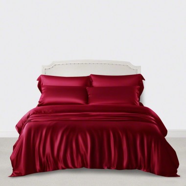 Claret 3 PCS 22 Momme Mulberry Silk Duvet Cover Set Canada